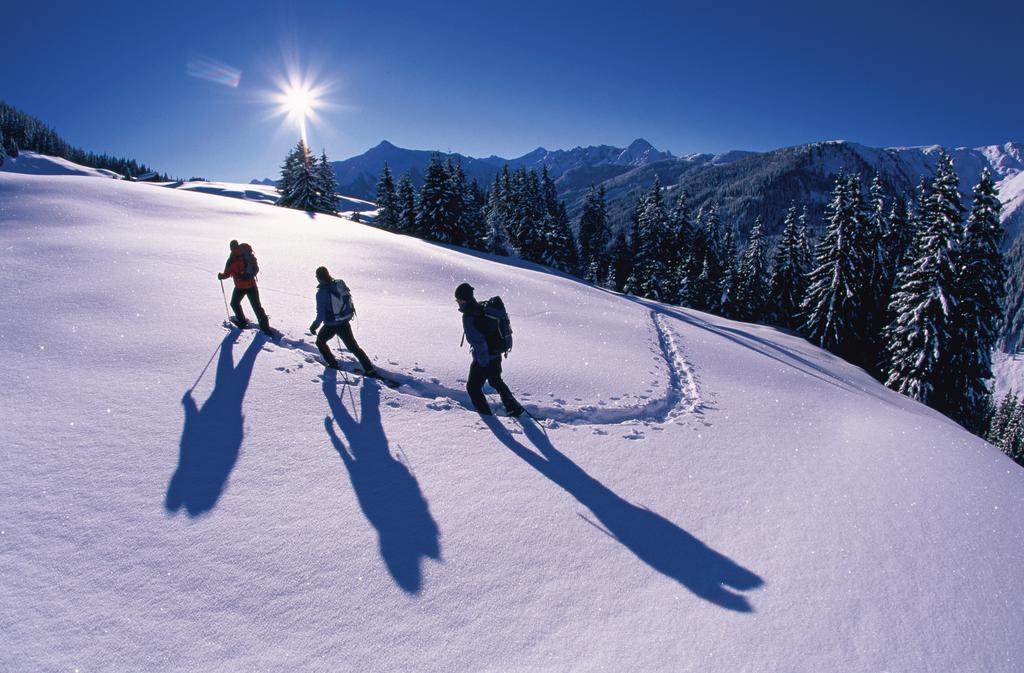 Alpina Zillertal . Family Lifestyle Kinderhotel Fuegen Ngoại thất bức ảnh