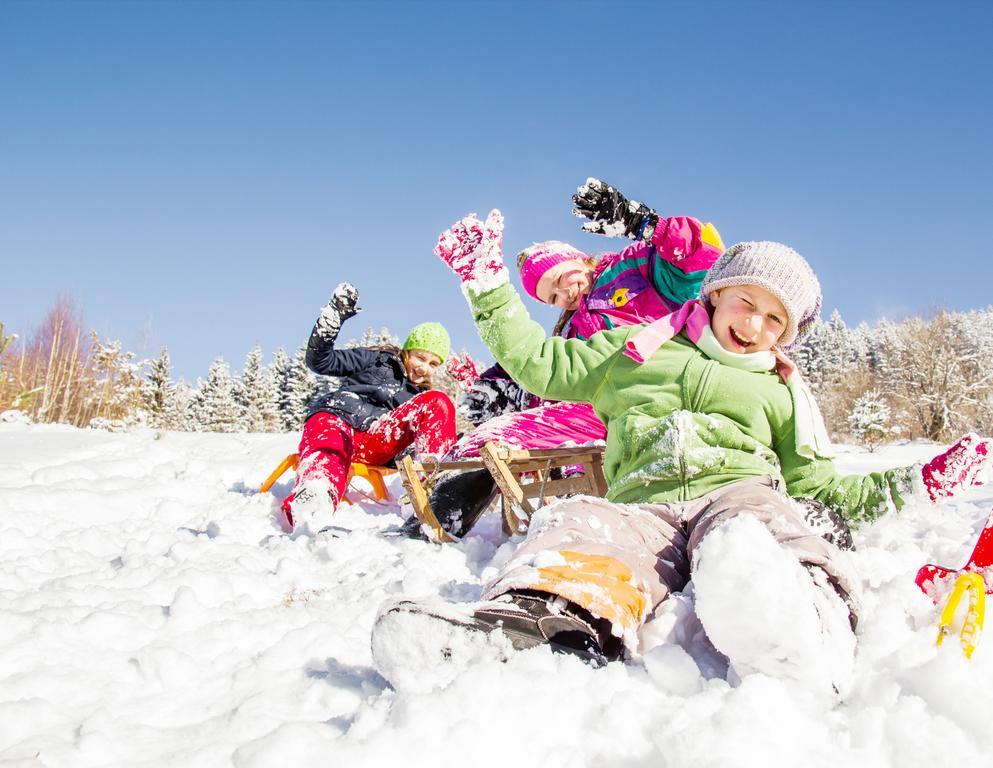 Alpina Zillertal . Family Lifestyle Kinderhotel Fuegen Ngoại thất bức ảnh